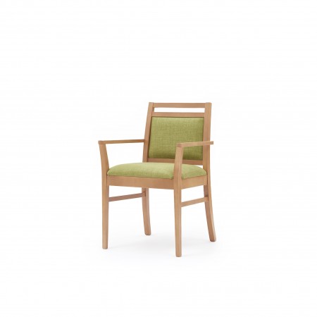 Dazio arm dining chair