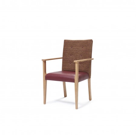 Padua arm dining chair